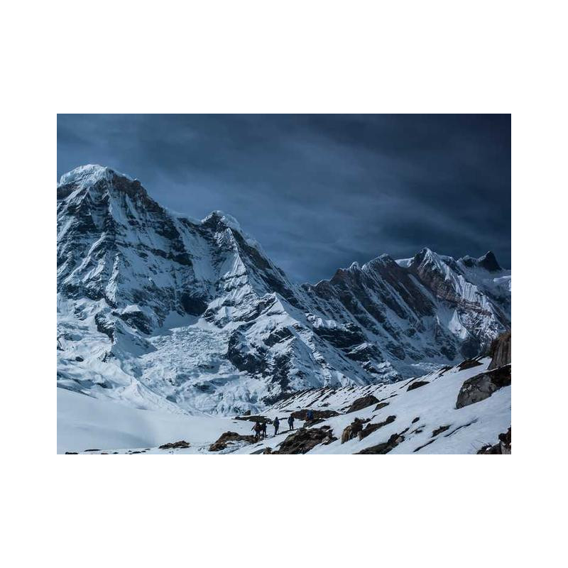 Synergistic Wooden Table fr-FR